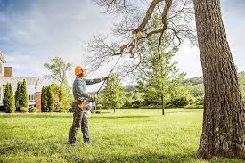 Best Emergency Tree Removal  in Butler, NJ